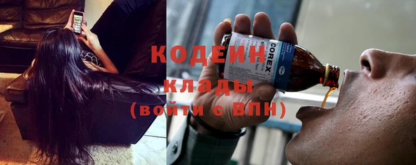 дмт Осинники