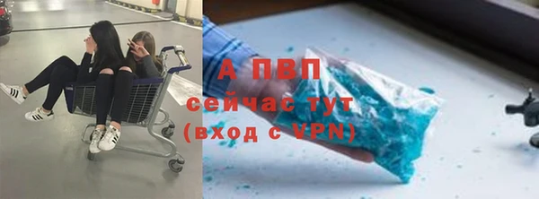 apvp Осташков