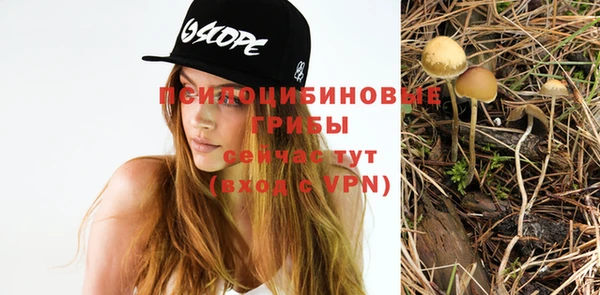 дмт Осинники