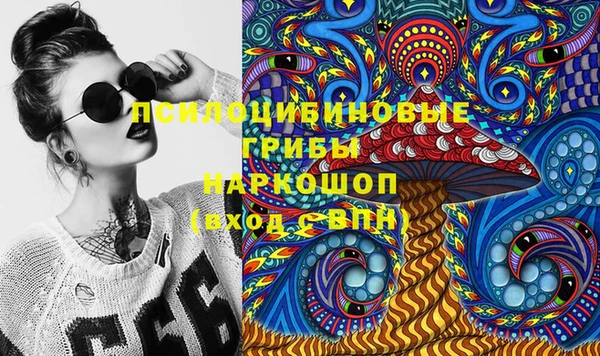 apvp Осташков