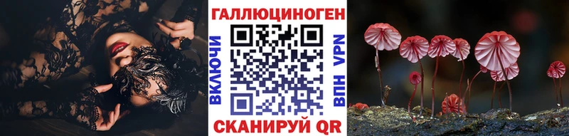 МЕГА ТОР  Братск  Псилоцибиновые грибы Cubensis 