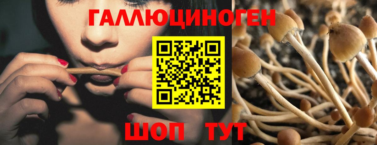 Братск  Галлюциногенные грибы мухоморы  Вход с VPN 